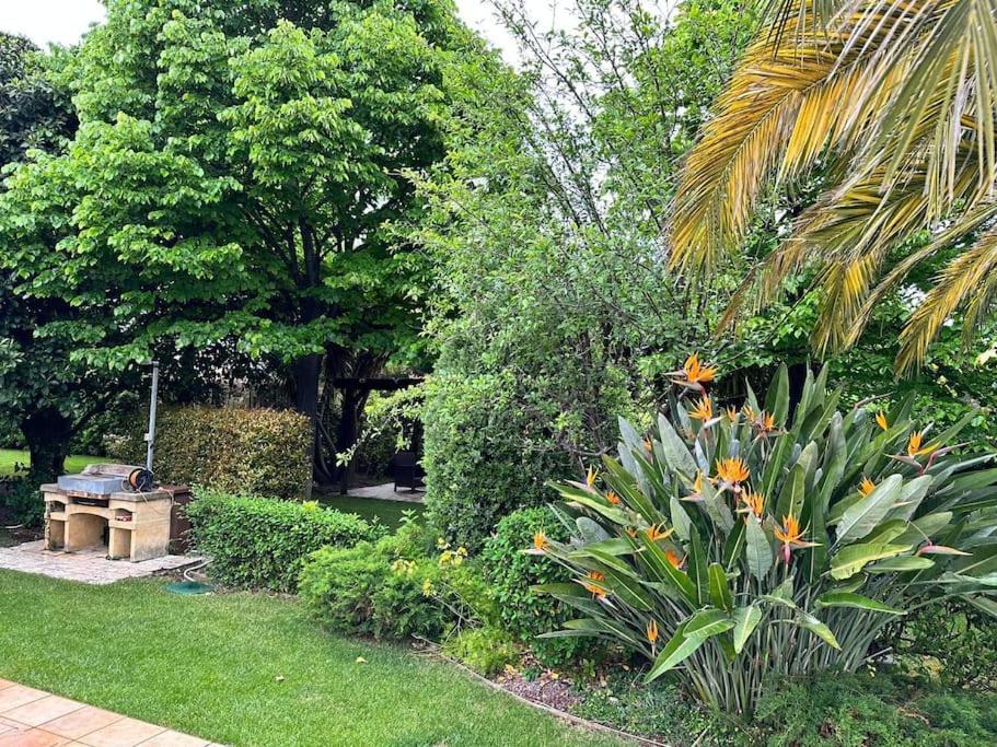 Apartamento Luxury Giardini D'oriente & Bari